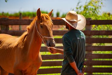 Imagem de representação do prêmio